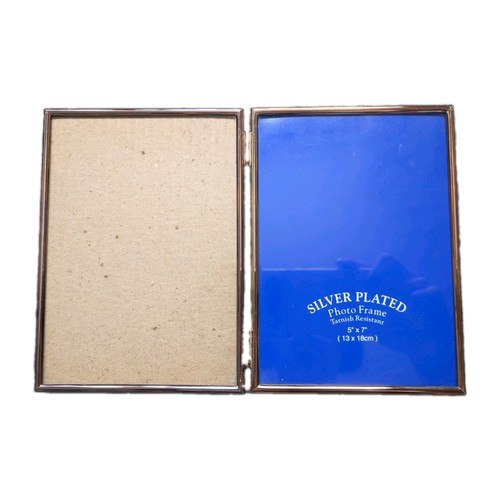 Silver plated hinged double - silver-plated,