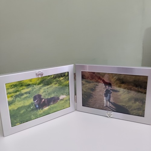 Pet hinged aluminium 6x4in
